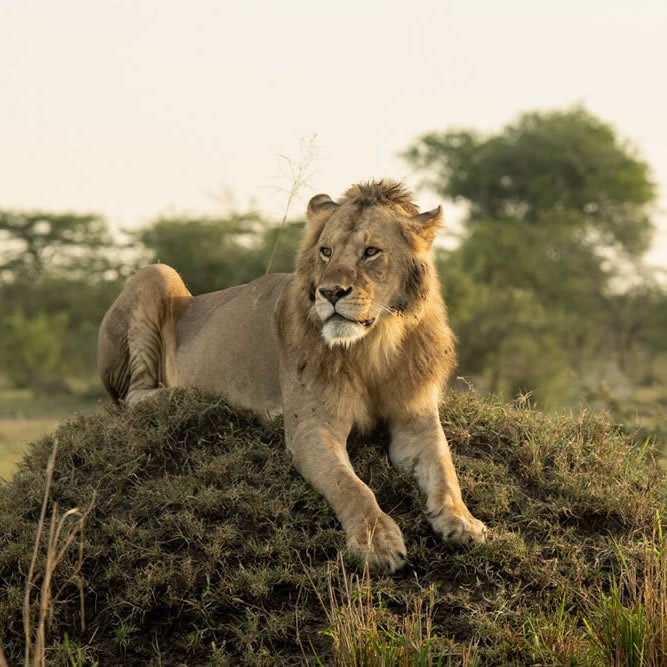 10 Days Wilderness to White Sands Luxury Safari