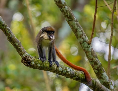 Luxury Safari Lodge Views