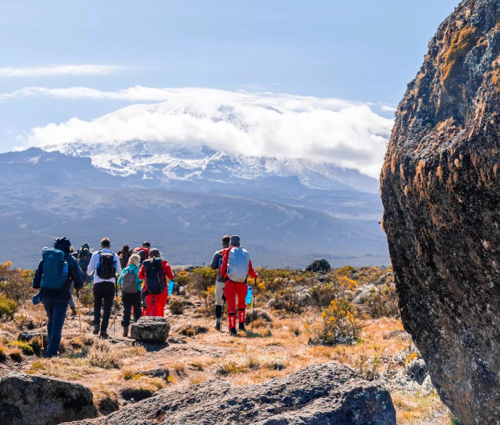 Kilimanjaro Climbing Cost