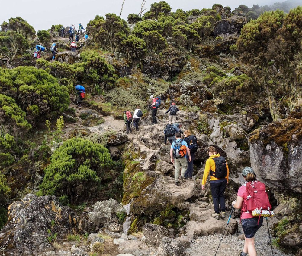 Preparation Before Climb Kilimanjaro      